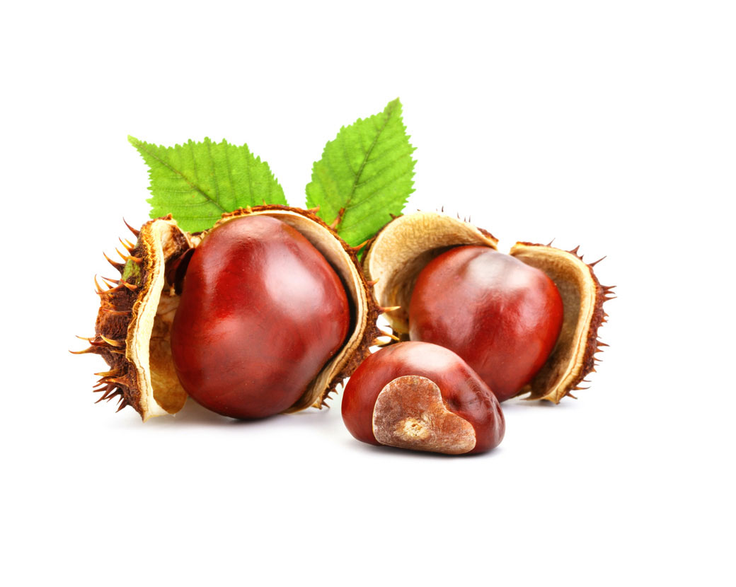 Экстракт конского каштана (Aesculus Hippocastanum)