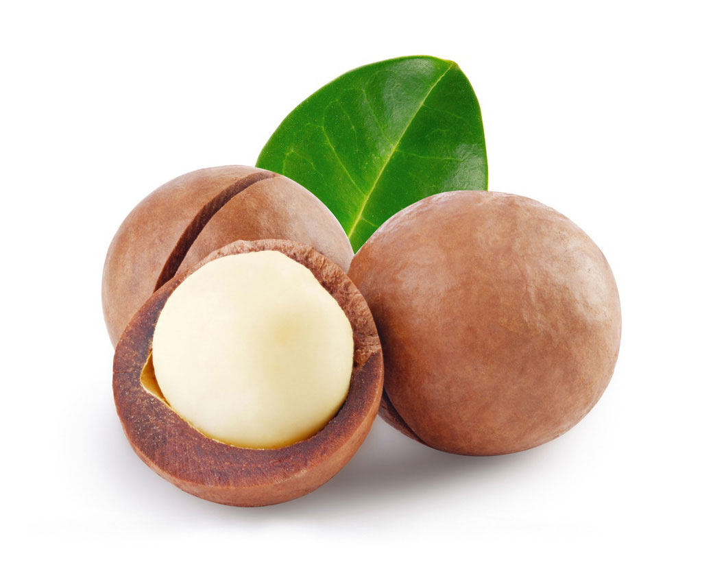 Масло семян макадамии (Macadamia Ternifolia)