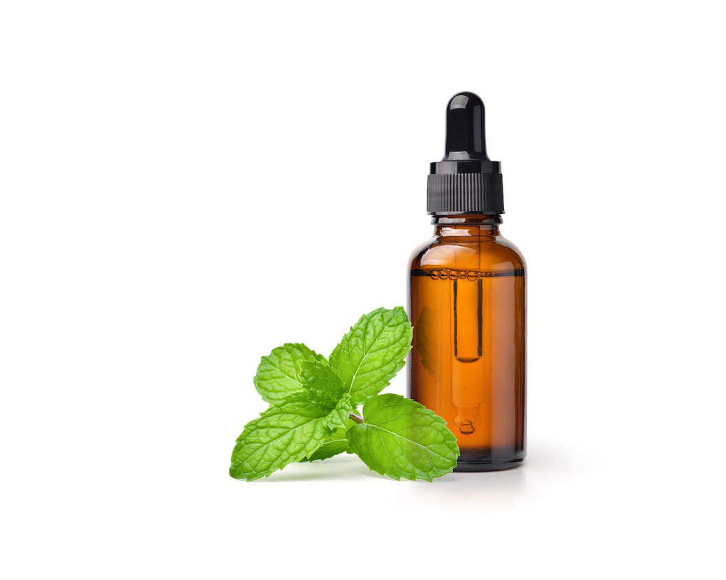 Экстракт листьев мяты перечной (Mentha Piperita)