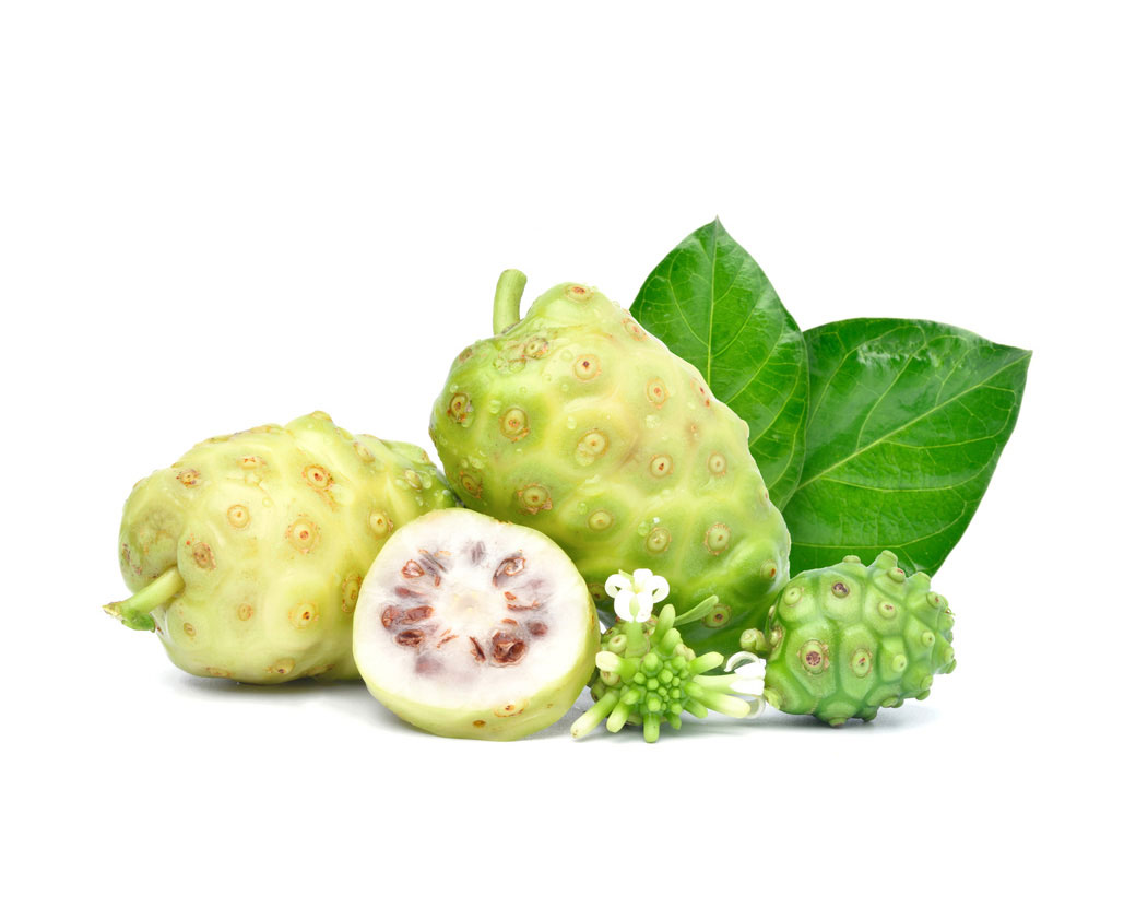 Экстракт плодов нони (Morinda Citrifolia)