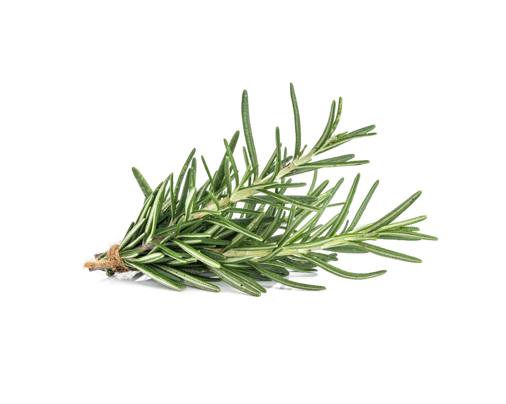 Экстракт листьев розмарина (Rosmarinus Officinalis)