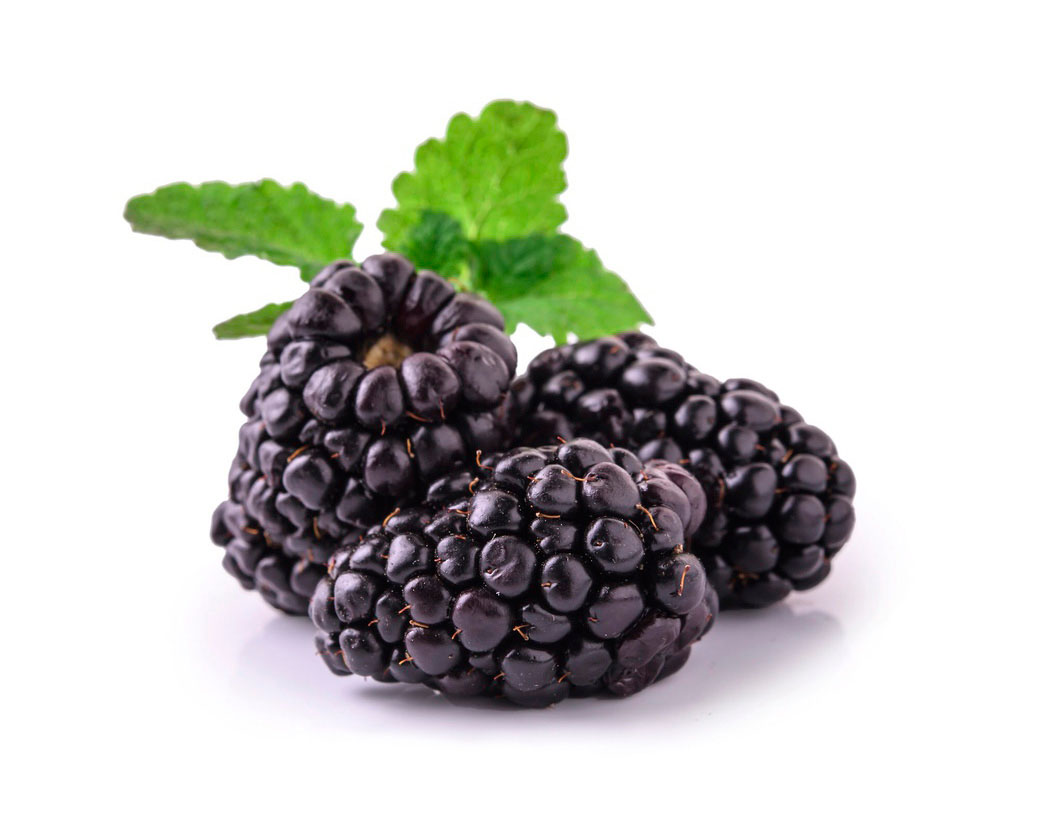 Экстракт плодов ежевики (Rubus Fruticosus)