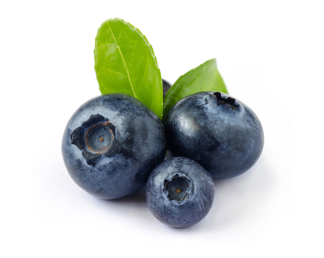Экстракт плодов черники (Vaccinium Angustifolium)