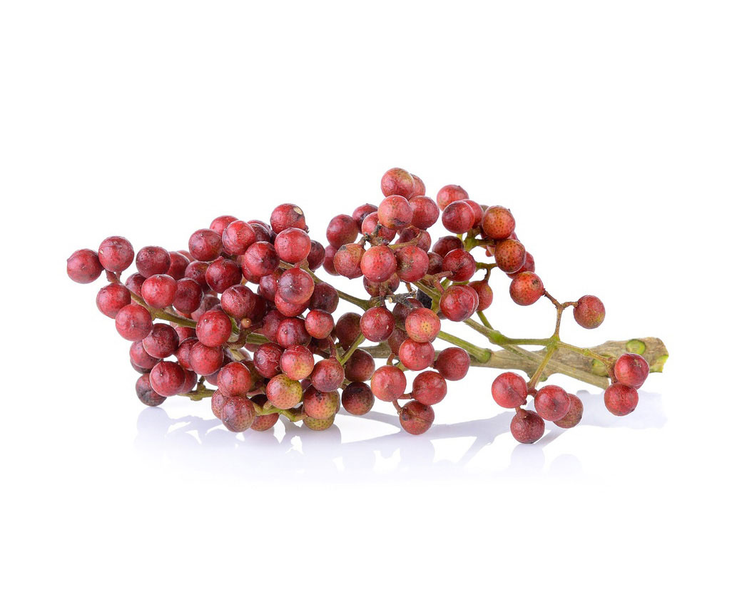Экстракт плодов зантоксилума перечного (Zanthoxylum Piperitum)