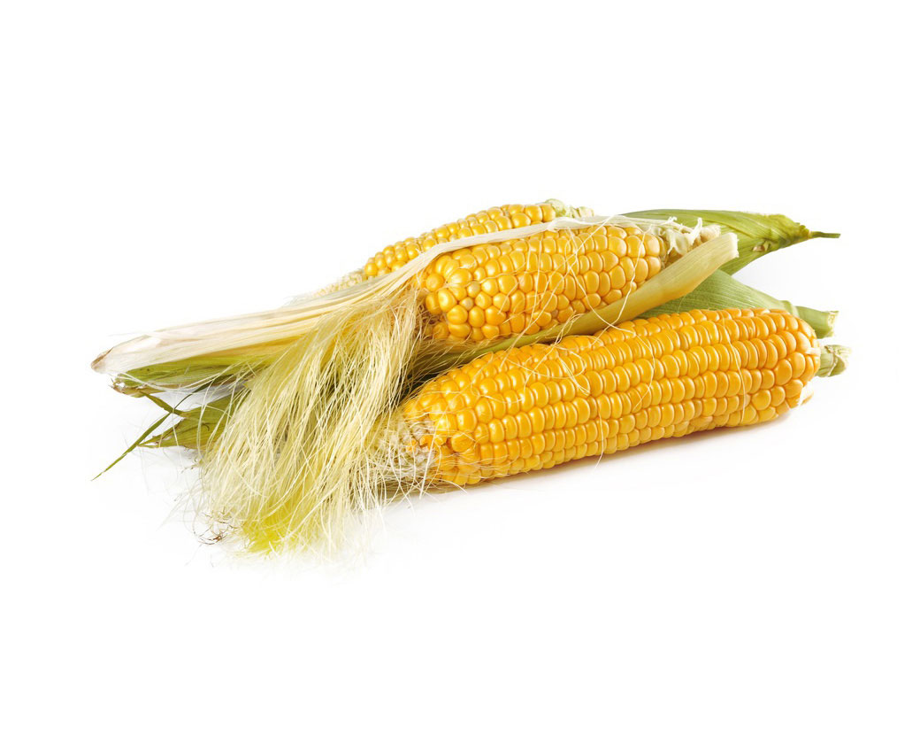 Масло зародышей кукурузы (Zea Mays)