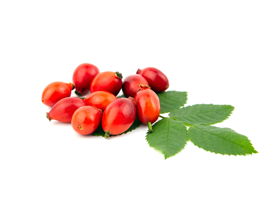 Масло плодов шиповника (Rosa Canina)